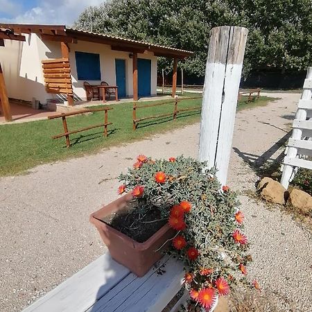Agriturismo Oca Giuliva Lido dei Pini Exteriér fotografie