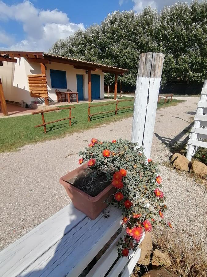 Agriturismo Oca Giuliva Lido dei Pini Exteriér fotografie